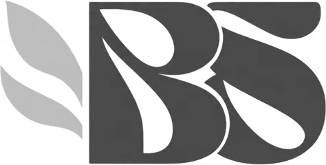 BS